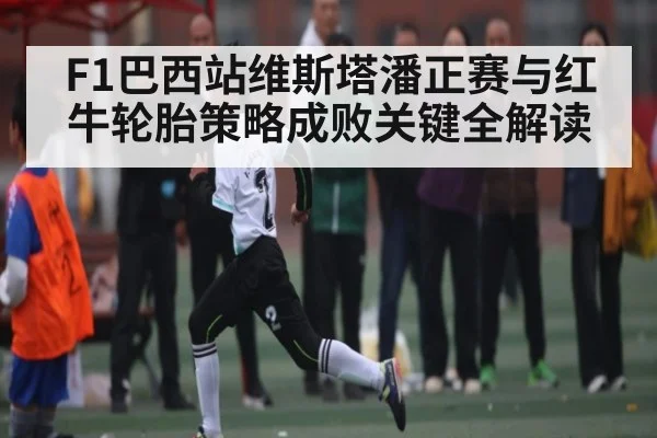 F1巴西站维斯塔潘正赛与红牛轮胎策略成败关键全解读 - kaiyun